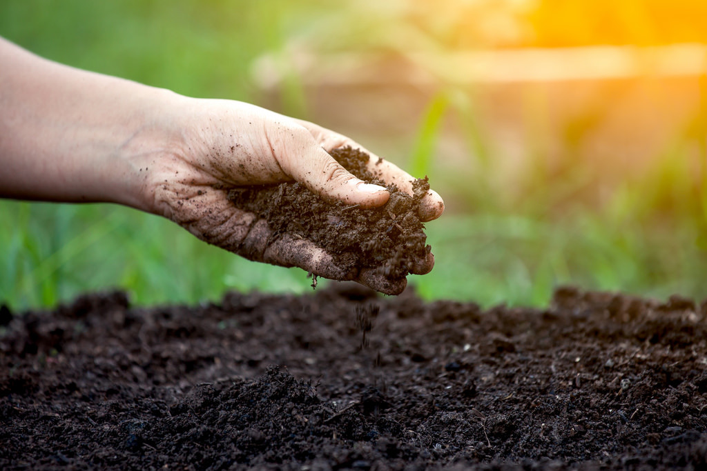 Best texture soil